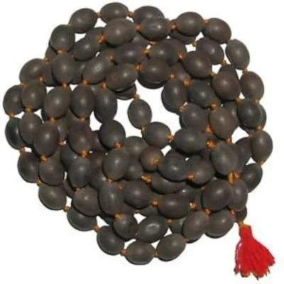 Lotus seed kamal gatta mala pooja