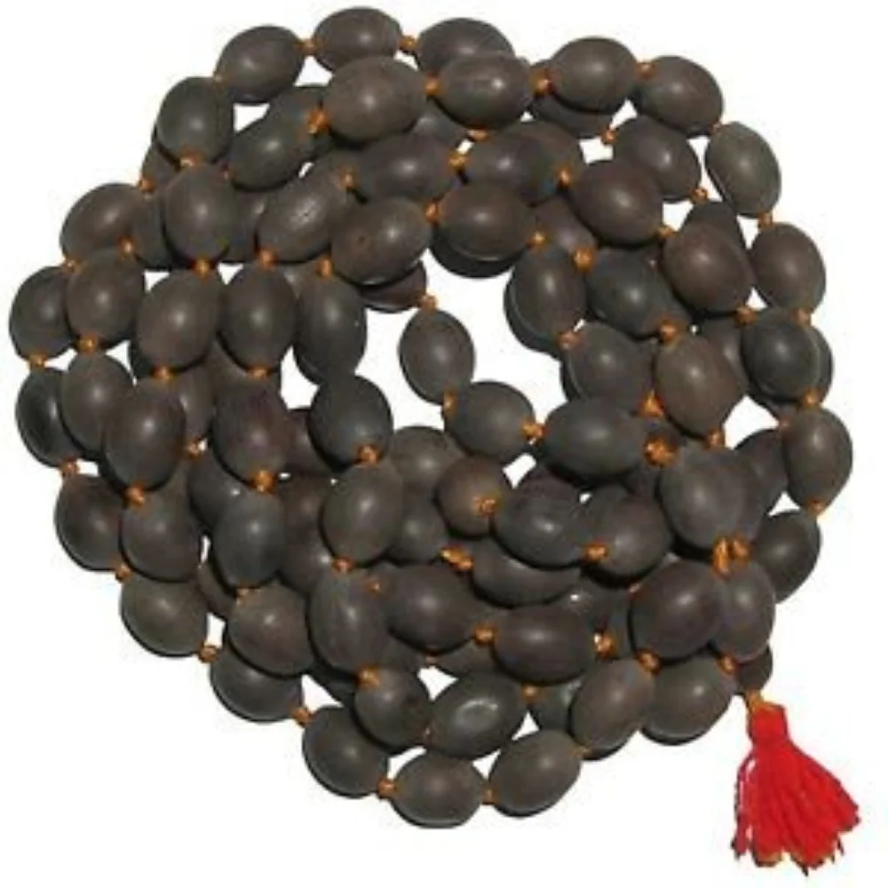 Lotus seed kamal gatta mala pooja