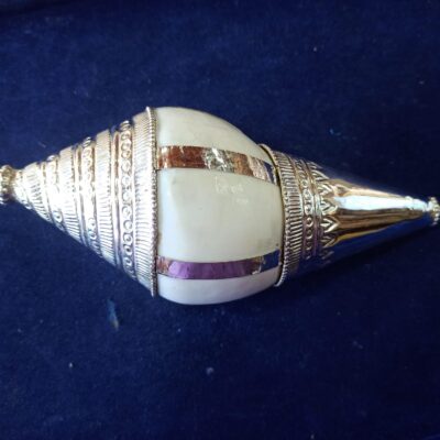 Conch with Silver Cap