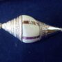 Conch with Silver Cap