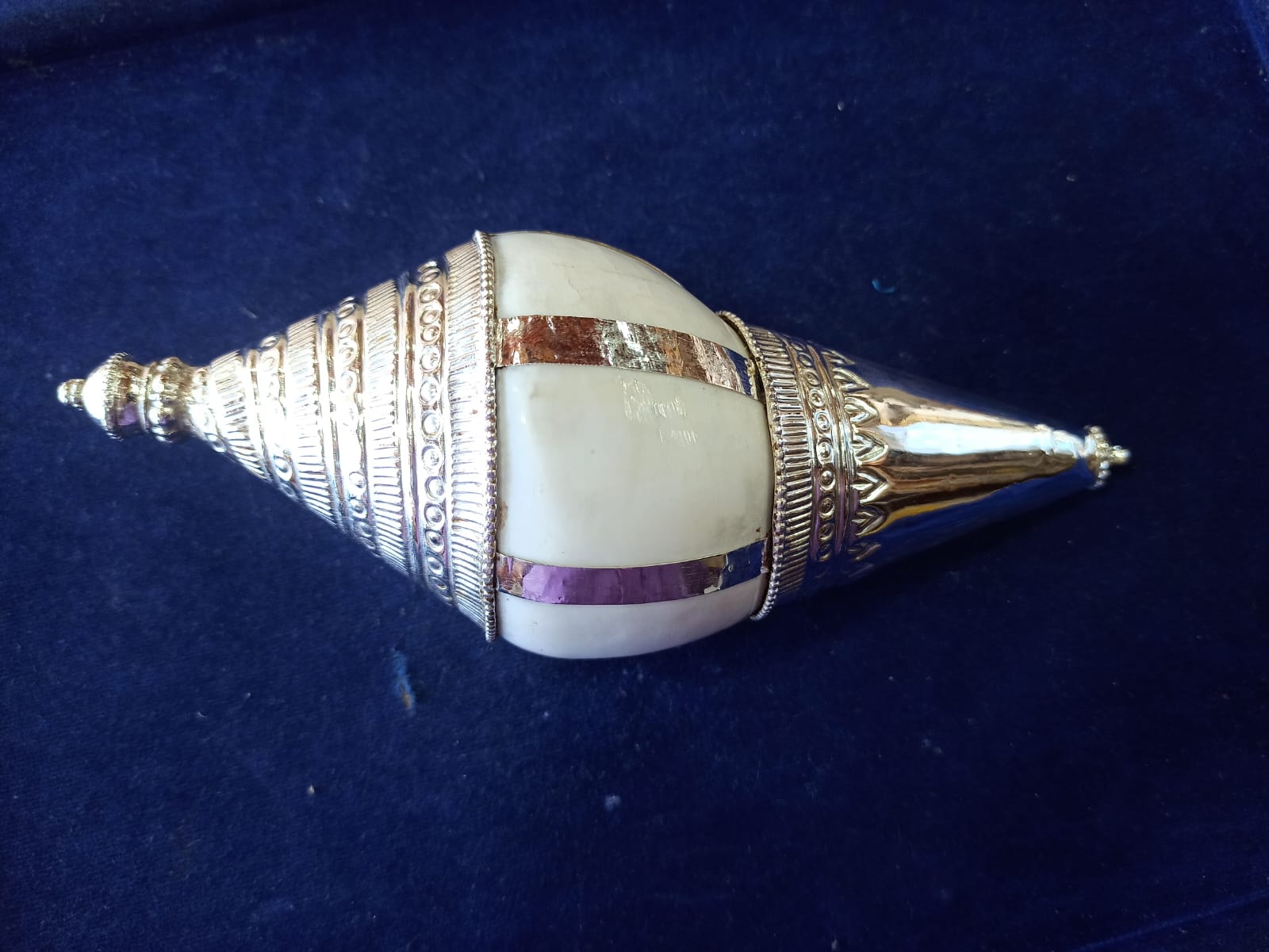 Conch with Silver Cap