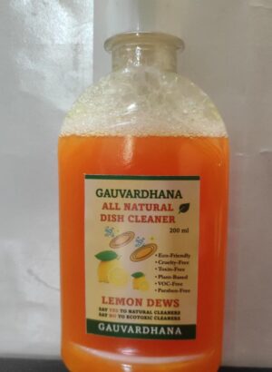 Desi Natural Vessel Cleaner | 400 ML