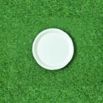 10 Inch Round Plate (50 Pack)