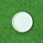 12 Inch Round Plate (50 Pack)