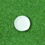 8 Inch Round Plate (100 Pack) - Image 2