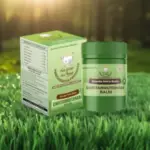 Ghritamrutdhara Balm – Shoola Hara Balm