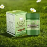 Ghritamrutdhara Balm – Shoola Hara Balm - Image 2