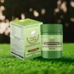 Ghritamrutdhara Balm – Shoola Hara Balm - Image 3