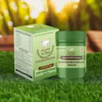 Ghritamrutdhara Balm – Shoola Hara Balm - Image 4